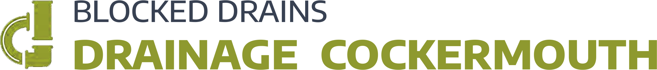 website logo